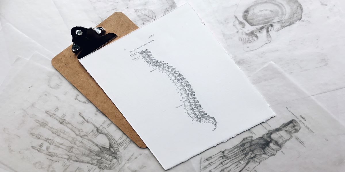 Chiropractic Care | Back Blueprint | Surrey 152St Physiotherapy & Sports Injury Clinic